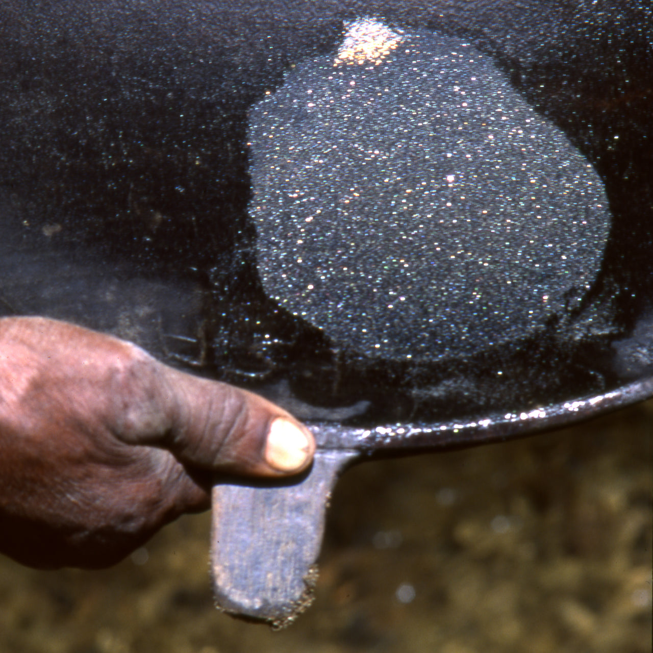 Sustainability & Impact