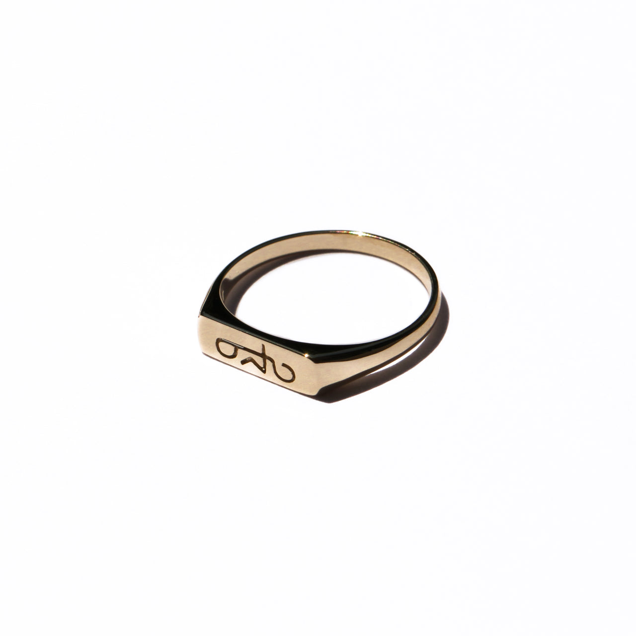 Future Visions Signet